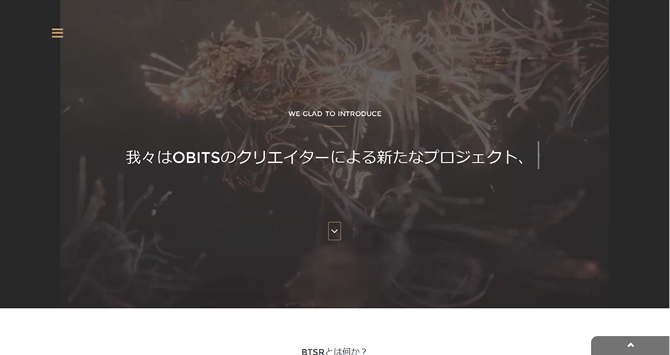 insert_image_00035